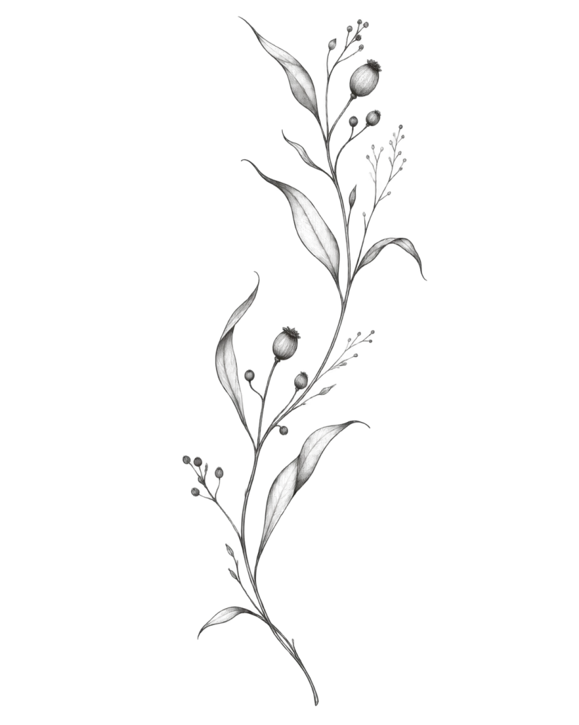 Dessin de flash botanique composé d’une tige courbe et de feuilles fines