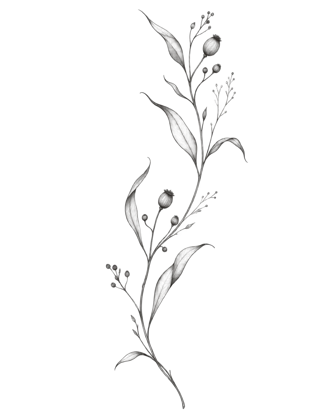 Dessin de flash botanique composé d’une tige courbe et de feuilles fines